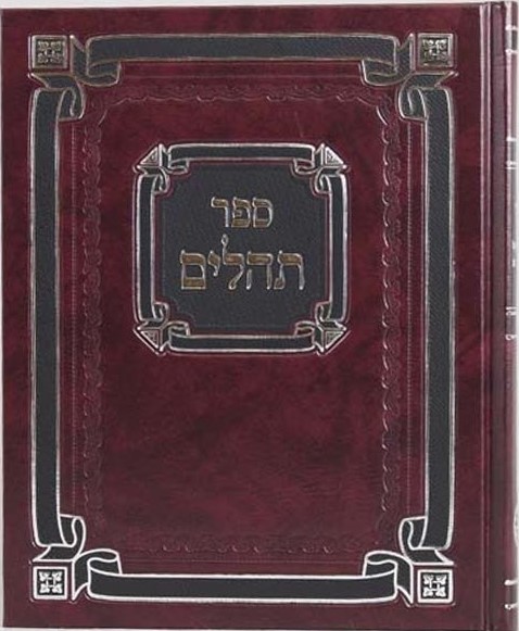 ספר תהילים By The Rov Shlita